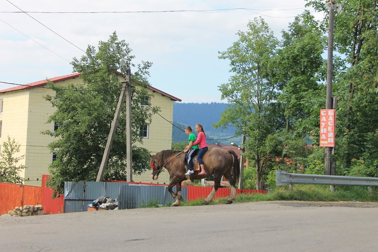 Гостевой дом Cottage u Yaremy Mykulychyn Микуличин-14