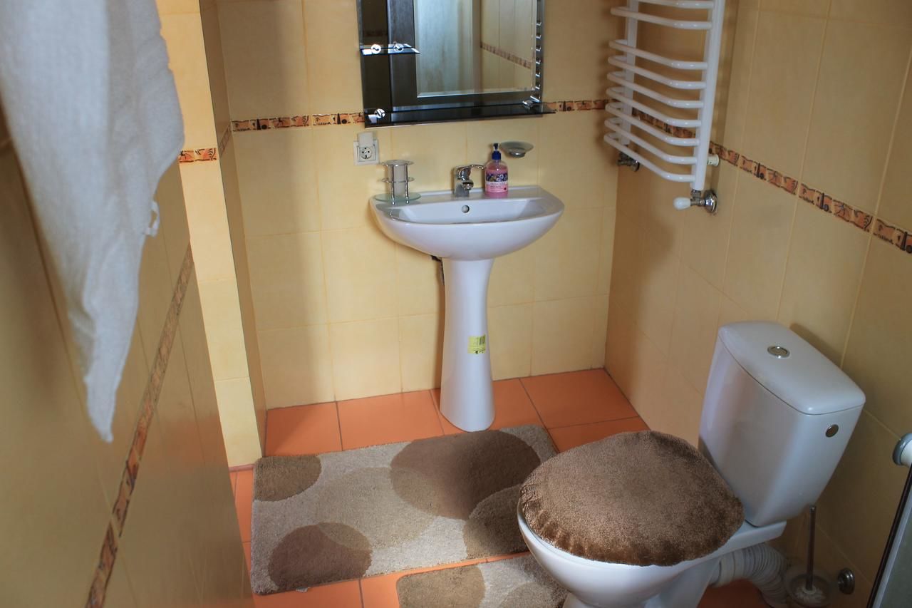 Гостевой дом Cottage u Yaremy Mykulychyn Микуличин-44